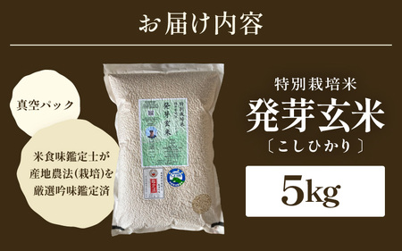 【令和6年産】発芽玄米 特別栽培米 コシヒカリ 5kg 【米 玄米 こしひかり ギャバ GABA 特別栽培 食物繊維 栄養 真空パック ごはん ご飯 おいしい ふるさと納税米】 [B-2933]