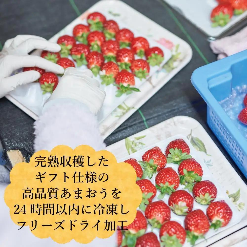 形も味もそのまま楽しめる！完熟あまおう【フリーズドライギフトセット】 (20g×6袋)