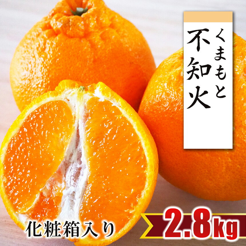 【ふるさと納税】贈答用 不知火 みかん 化粧箱 オリジナル 約2.8キロ ｜果物 くだもの フルーツ 柑橘 柑橘類 みかん 生産者直送 産地直送 玉名 熊本 約2.8kg 送料無料