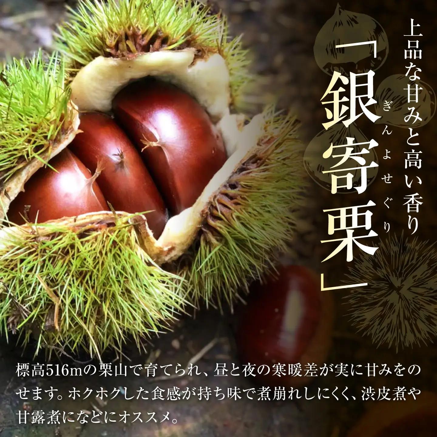 銀寄栗 【先行予約】Lサイズ 1kg 約55粒 栗 BKCC003