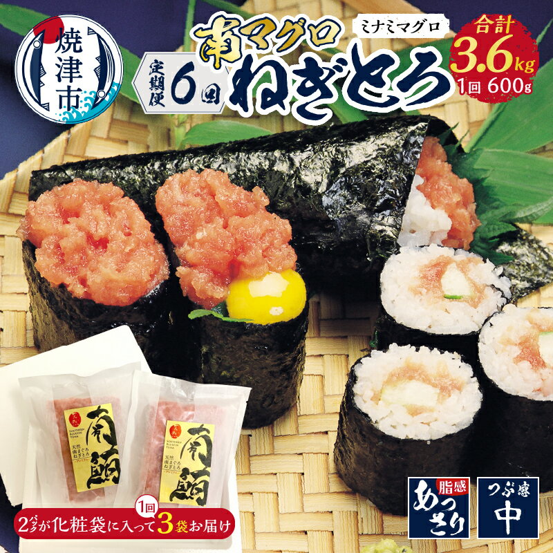 【ふるさと納税】 定期便 6回 ネギトロ まぐろ 南まぐろ 天然 6人前 600g×6回 パック 魚 焼津 b100-074
