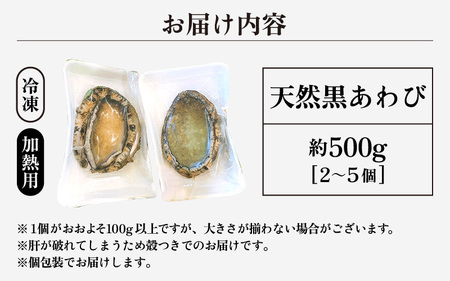 日本海若狭湾の天然黒アワビ 約500g（2～5個） あわび アワビ 鮑 クロアワビ 黒あわび 冷凍・加熱用【 2024年8月31日まで発送】[m17-b001]