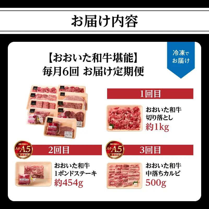 【毎月配送】【おおいた和牛堪能】毎月6回お届け定期便 T10099