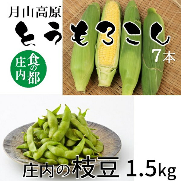 【ふるさと納税】食の都庄内　庄内の枝豆＆月山高原とうもろこし※7月下旬より順次配送（有限会社庄内旬青果）