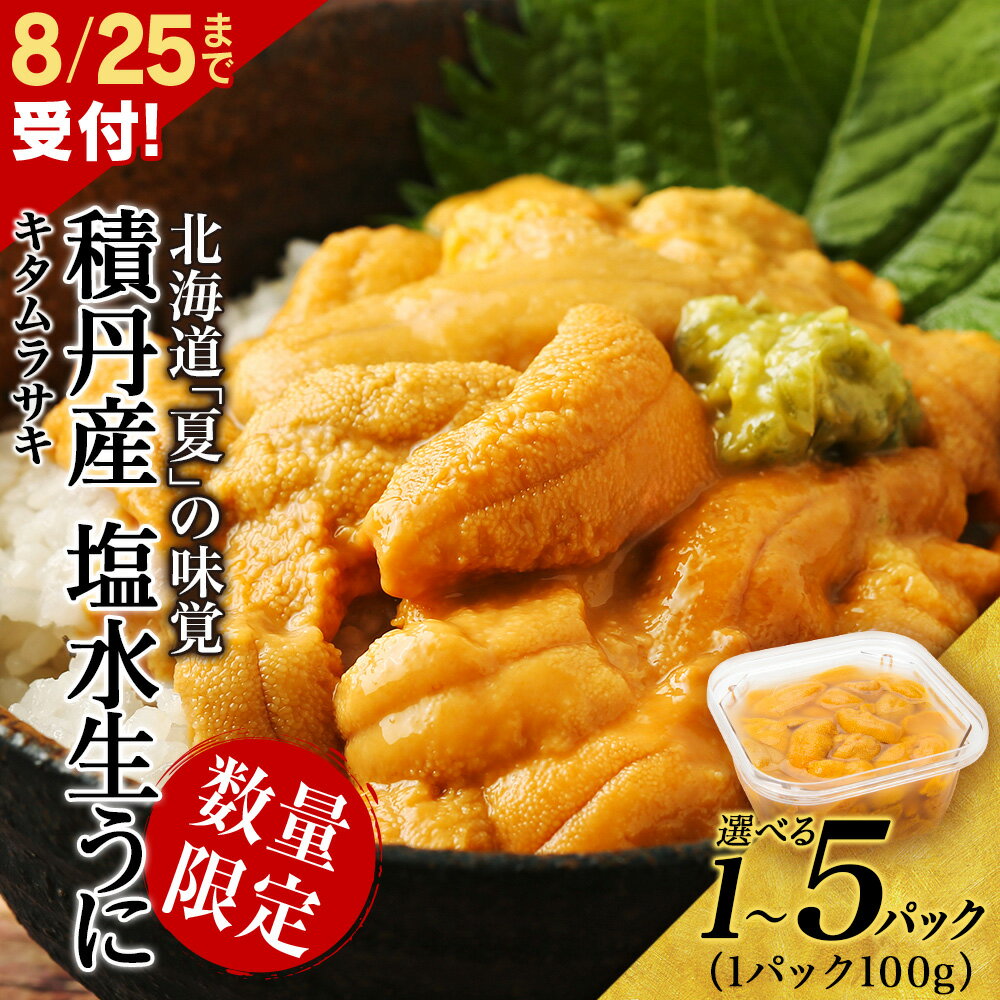 【ふるさと納税】≪2025年夏発送分≫ 間も無く！今シーズン出荷終了！数量限定！積丹産 塩水生うに 選べる1パック～5パック 1パック100g【三上商店】北海道ふるさと納税 積丹町 むらさきうに 塩水 ムラサキウニ 生うに 北海道 うに 雲丹 通販 ギフト 2025年