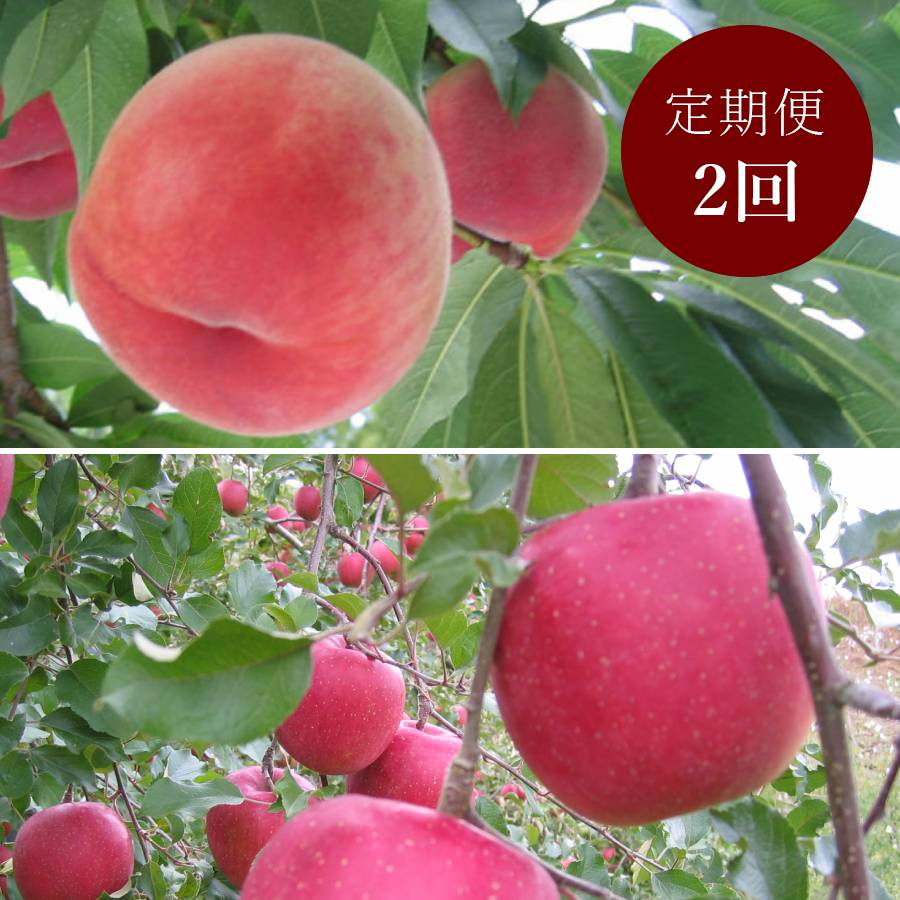 【もったいない！を食べよう】飛騨産桃（品種おまかせ）＆りんご（品種おまかせ）2回定期便