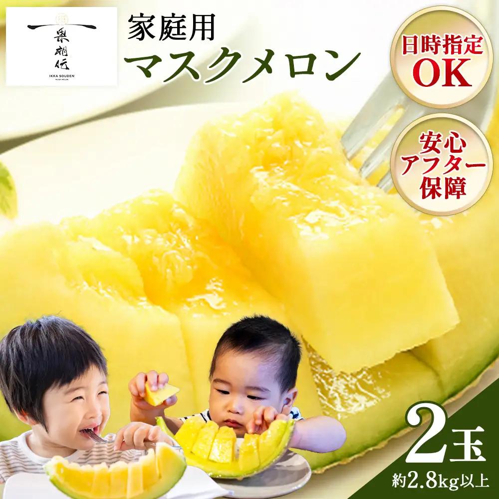 【ふるなび限定】【発送開始】マスクメロン(家庭用) 2玉入 青肉品種 高級メロン！ ／ マスクメロン 果物 フルーツ 訳あり 農家直送 FN-Limited-PR tn-0067