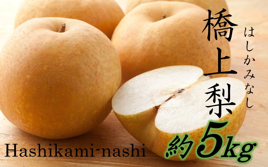 
                  【先行予約】令和8年発送 /辰口農園の橋上梨約5kg（品種:新星）_1019R
                