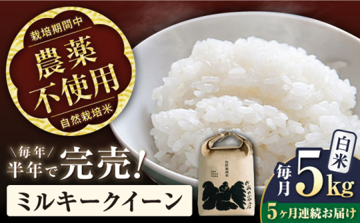 【令和7年産新米】【全5回定期便】ミルキークイーン 5kg 白米 自然栽培米  滋賀県長浜市/株式会社お米の家倉 [AQCP012] 米 定期便 白米  5kg ミルキークイーン 自然栽培米  滋賀県産 長浜市産 こめ お米 新米 食品 ふるさと納税 国産 炊きたて 米ギフト もちもち ブランド米  食卓 美味しい 産地直送 節約 人気