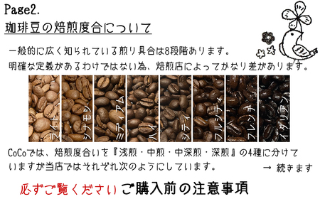 【宝塚】Qグレード珈琲3種類 当日自家焙煎珈琲100g×3種【豆】