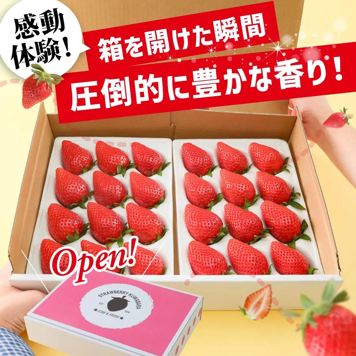 いちご やよいひめ 約400g いちご