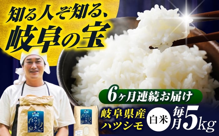 
            【6回定期便】【令和7年度産】岐阜県産米ハツシモ「藍の燈」5kg ハツシモ はしつも 白米 精米 米 こめ ごはん コメ 5kg 5キロ 定期 定期便 米定期便 岐阜市 / 藍川ファーム [ANHI004]
          