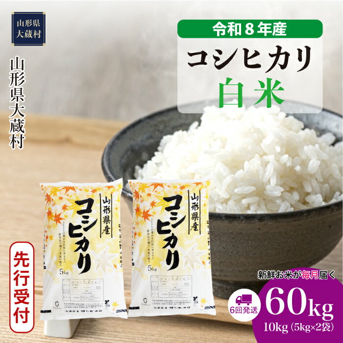【ふるさと納税】＜令和8年産米先行受付＞ 大蔵村 コシヒカリ ＜白米＞ 定期便 60kg （10kg×1ヶ月間隔で6回お届け）