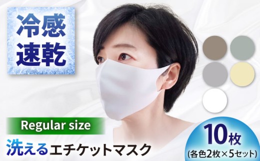 マスク 【日本製】エチケット レギュラーサイズ 10枚(2枚×5セット) 対策 冷感 立体 ふつう サイズ 5色 2個包装 国産 不織布 ますく 普通 おしゃれ 人気 日用品 消耗品 肌にやさしい 息苦しくない 送料無料 洗える 大人用 男女兼用 衛生用品 ウイルス 花粉 飛沫 感染 予防 防災 備蓄 ストック ギフト プレゼント 贈り物 岐阜市 / ビッグ宮田 [ANEA008]
