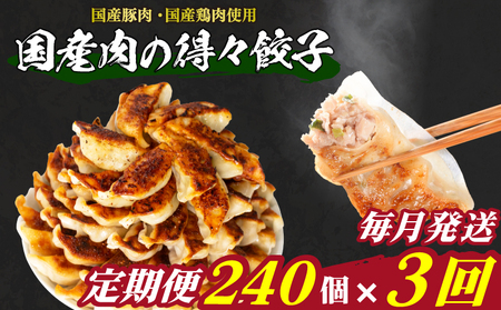 訳あり 国産肉の得々餃子 240個 定期便 毎月3回 餃子 ギョウザ IB