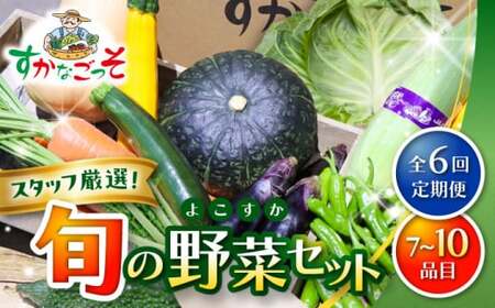【全6回定期便】よこすか野菜セット すかなボックス／野菜 旬 セット  【JAよこすか葉山】[ASCB003]