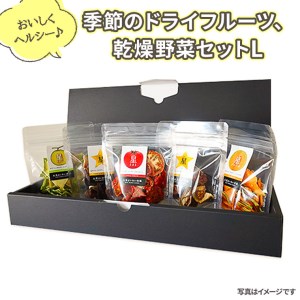 ドライフルーツ 野菜チップス セット Lサイズ 大洗 季節 乾燥 果物 野菜 健康食品 ヘルシー 無添加_BD010