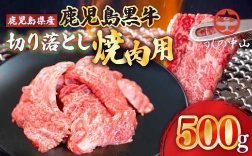 2111 うしの中山 切り落とし 焼肉 用 500g