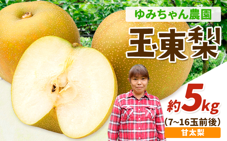 ゆみちゃん農園の玉東梨 甘太梨 約5kg(7～16玉前後) 《2026年8月下旬-10月上旬頃出荷》  梨 なし 果物 フルーツ---sg_cyumikanta_l810_r8_15000_5kg---