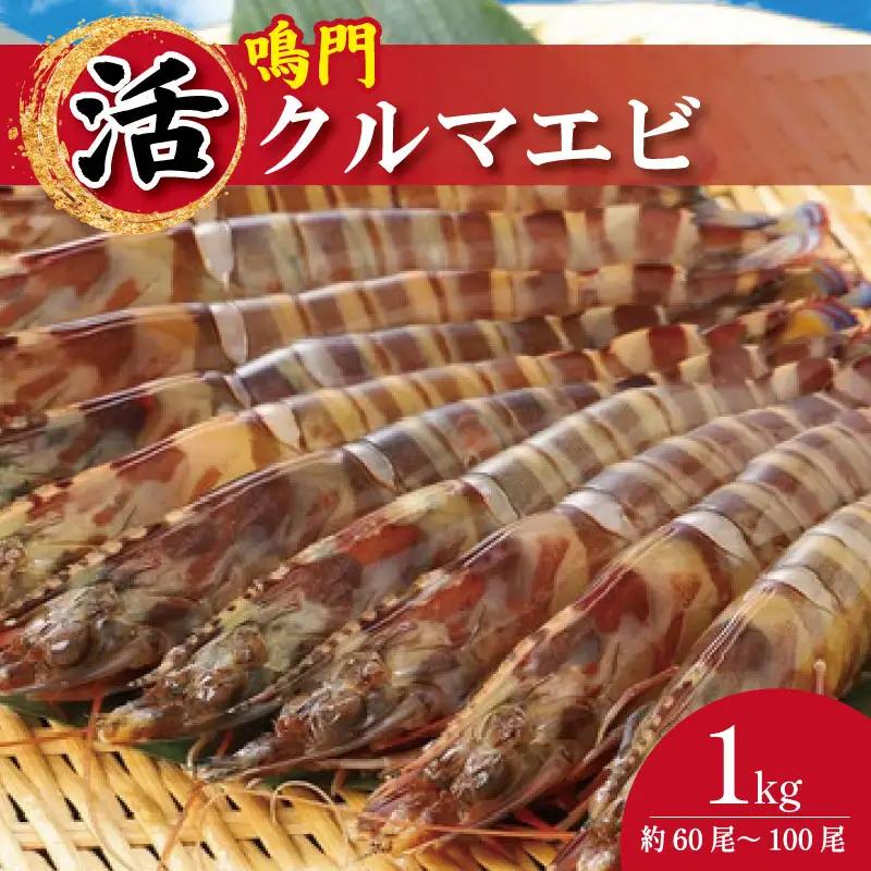 【指定日必須】 活き車海老 1kg 約60尾～100尾 クルマエビ