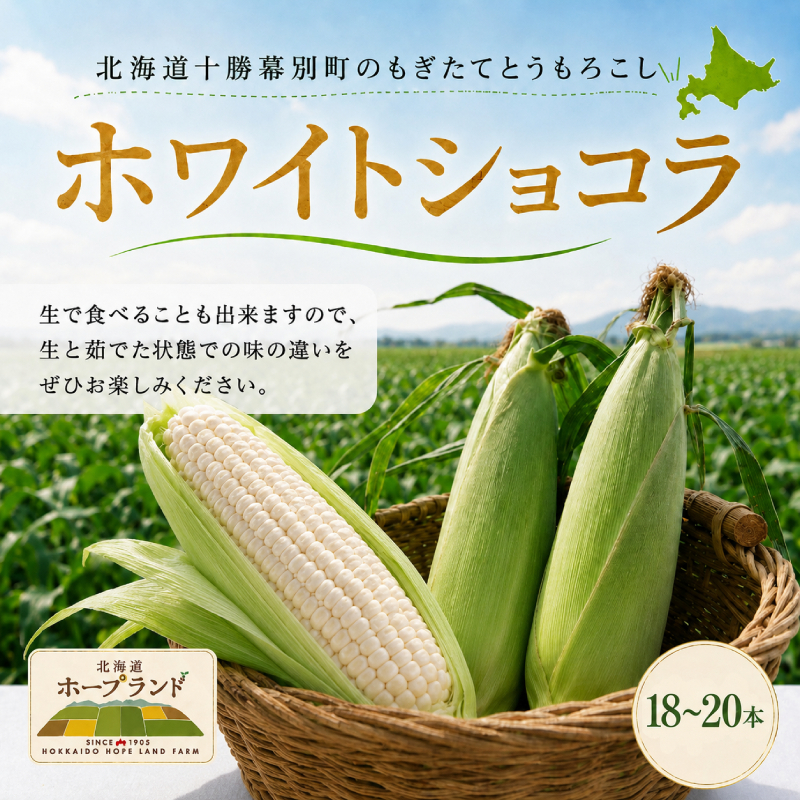 ［先行予約/2029年］もぎたてとうもろこし白18～20本 [北海道ホープランド農場]【 とうきび トウモロコシ とうもろこし 野菜 夏野菜 フルーツ 北海道 十勝 幕別 】 