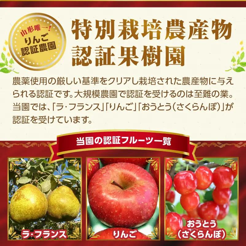 《先行受付》特別栽培 大玉 ラフランス 約3kg・秀品4L～3L 【2026年11月上旬頃～発送予定】 025-016