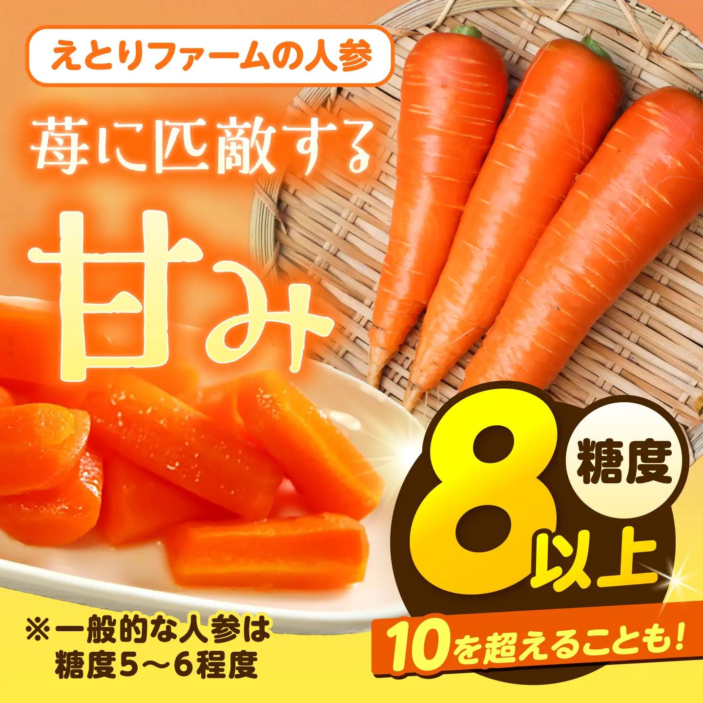 【先行予約】北海道にんじん 3kg(土付き)にんじん[BEBA002]