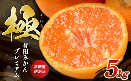みかん 極 有田みかんプレミアム 約5kg【光センサー高糖度選別】【nuk155G】