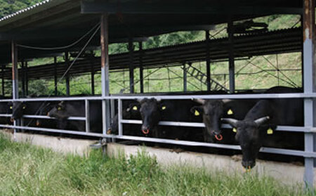 小豆島オリーブ牛ロースすき焼き＜400g＞