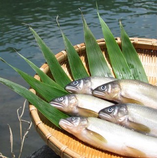 MN‐02 料亭の鮎の甘露煮三種食べくらべセット_イメージ3