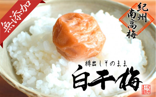 
                  無添加　白干梅　(2L～3Lサイズ、800g）紀州南高梅　【梅農家厳選　手づくり梅干】 【 しょっぱい梅干し 南高梅  無添加梅干し 塩分 約20％ 梅干し 白干し梅干し 和歌山県 白浜町 J013-NTZ 】
                