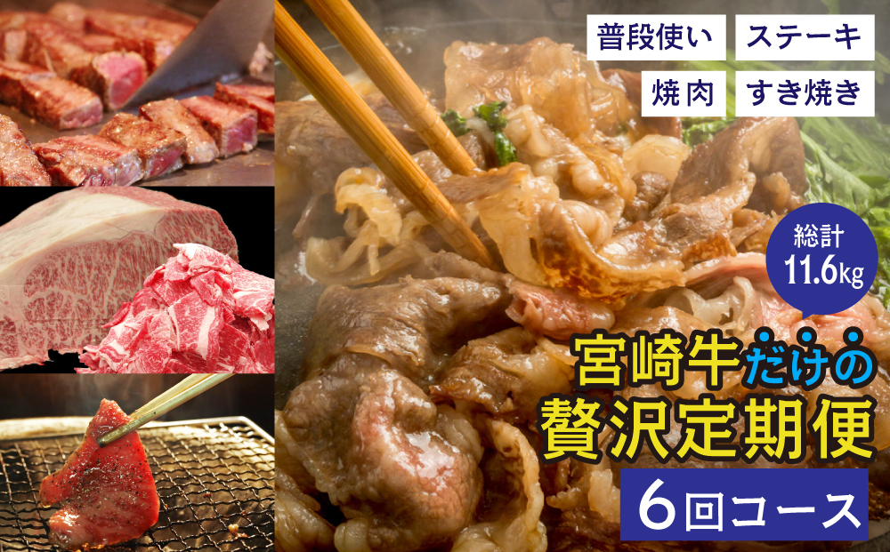 6回 定期便 宮崎牛 贅沢 6ヶ月コース 合計11.6kg [マルミヤストア 宮崎県 美郷町 31ag0090] 肉 牛 牛肉 小間 こま ヒレ ステーキ サーロイン モモ 焼肉 スライス 薄切り うす切り バラ