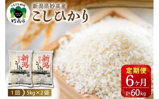 【2026年11月中旬発送】【毎月定期便】令和8年産 新潟県妙高産コシヒカリ10kg(5kg×2袋)×6回（計60kg）