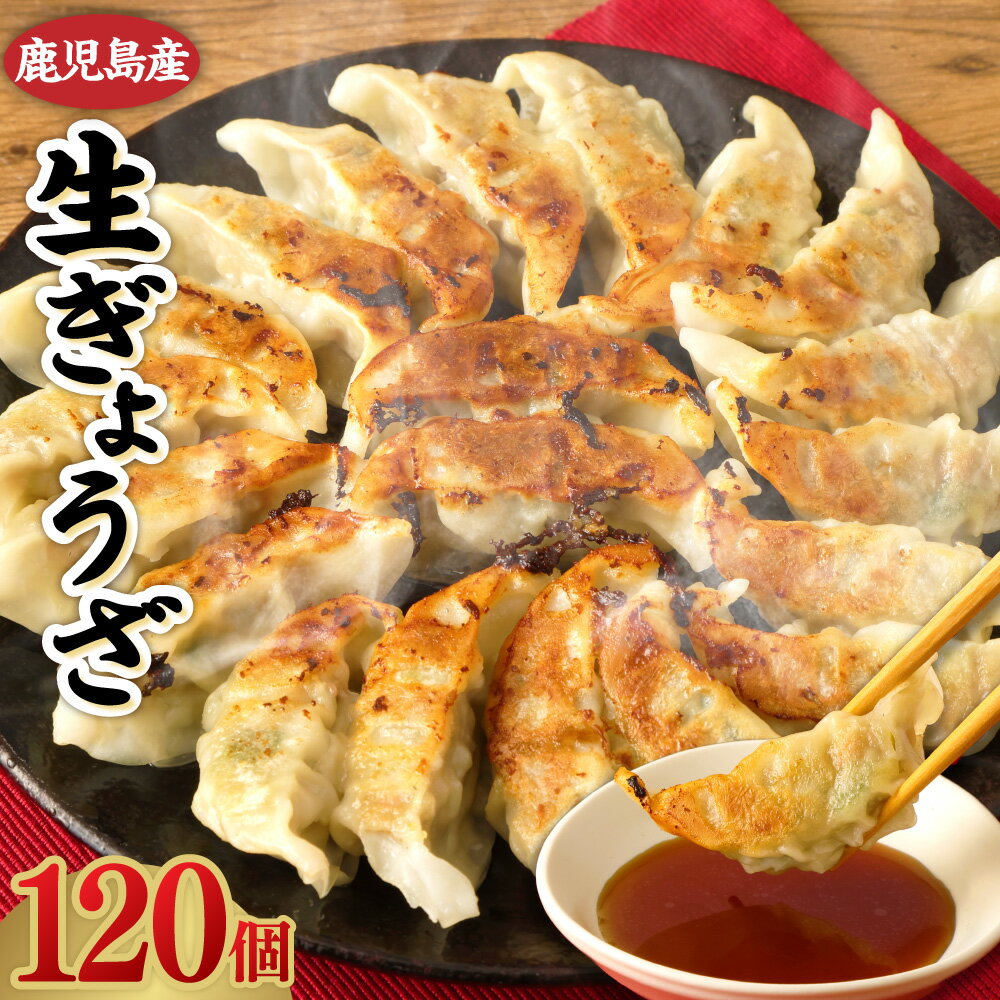 【ふるさと納税】 鹿児島生ぎょうざ 120個（10個入 × 12パック） 餃子のタレ1本入り 味処まるしょう お肉のまるしょう 餃子 ブランド豚 茶美豚 国産 生餃子 生ギョーザ 豚肉 母の日 父の日 敬老の日 お中元 お歳暮 冷凍 送料無料