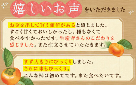 【先行予約】【10月下旬～12月上旬発送】種なし柿 太天・渋抜き柿3kg【小林農園】HAX002 かき 果物 フルーツ