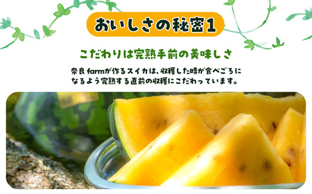 金色羅皇　SMAF004