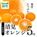 【ふるさと納税】清見 5kg 果物 フルーツ オレンジ 蜜柑 ギフト 贈答 送料無料