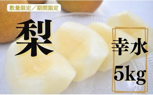 梨（幸水）5kg×1箱