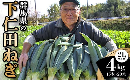 
            群馬県の下仁田ねぎ ＜2Lサイズ＞(4kg) 下仁田 ねぎ 野菜 すき焼き 鍋 食品 国産 F21E-084
          
