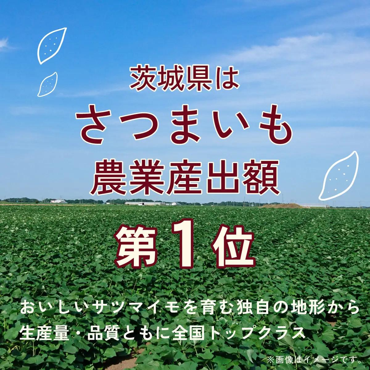 甘熟やきいも　5本【1627532】