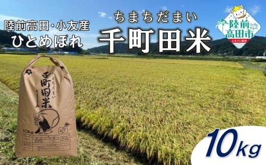 ★9月末までの限定寄附額★ 先行予約 令和7年産 新米 布袋様パッケージのひとめぼれ 千町田米(ちまちだまい) 10kg 【 お米 精米 白米 ひとめぼれ 産地直送 数量限定 】 2025年10月頃から順次発送予定 RT3028