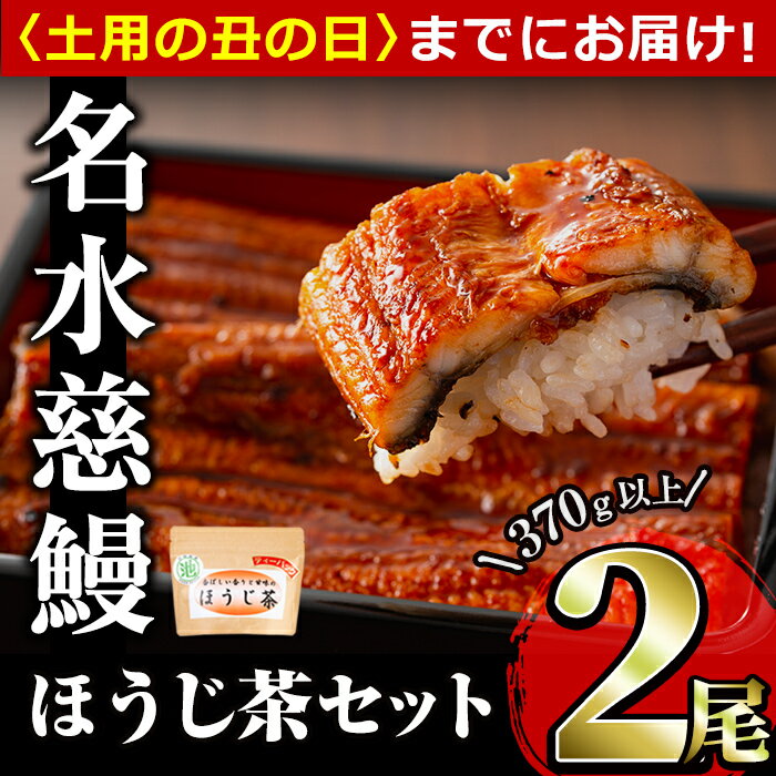 【ふるさと納税】【7/7までの入金で丑の日までにお届け】名水慈鰻2尾＆ほうじ茶セット 名水慈鰻(185g以上×2尾)＆ほうじ茶ティーバッグ(3g×15個) 鰻 うなぎ 蒲焼き かばやき うな重 冷凍 鰻重 お茶 ほうじ茶 焙じ茶 ティーバック パック【志布志市観光特産品協会】a8-084