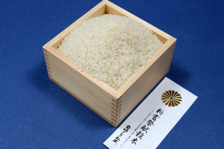 【令和6年産】「金崎さんちのお米」10㎏(真空パック1kg×10袋) (6-7A)