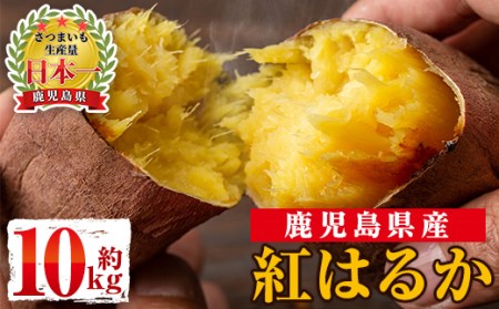 s088 ≪先行予約受付中！2025年11月上旬より順次発送予定≫《期間限定》鹿児島県産 紅はるか 生芋 10kg 【弐番屋】