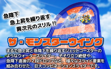 芝政ワールド スーパーパスポート3名様（おとな2名・こども1名） 遊園地 プール チケット レジャー施設 [D-3903]