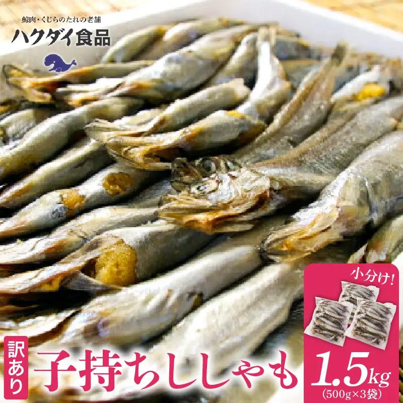 訳あり ししゃも 子持ちシシャモ 1.5kg （500g×3袋） 傷 小分け mi0012-0116