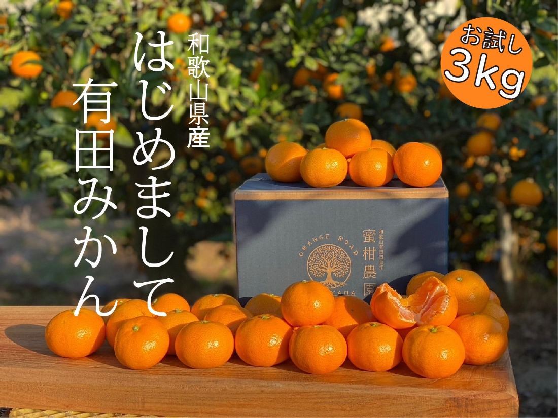 ［先行受付2025年11月発送～］NEW はじめまして 有田みかん  お試し 3kg 和歌山県産 / ORYY推奨 BA22