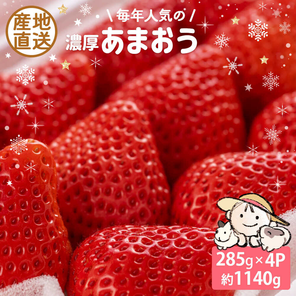 【ふるさと納税】【2025年12月中旬〜翌4月中旬発送】 あまおう ココロファームの濃厚あまおう 285g × 4パック 《豊前市》【ココロファーム】[VAE009] 苺 いちご 福岡県産 【※北海度・沖縄および離島への配送不可】