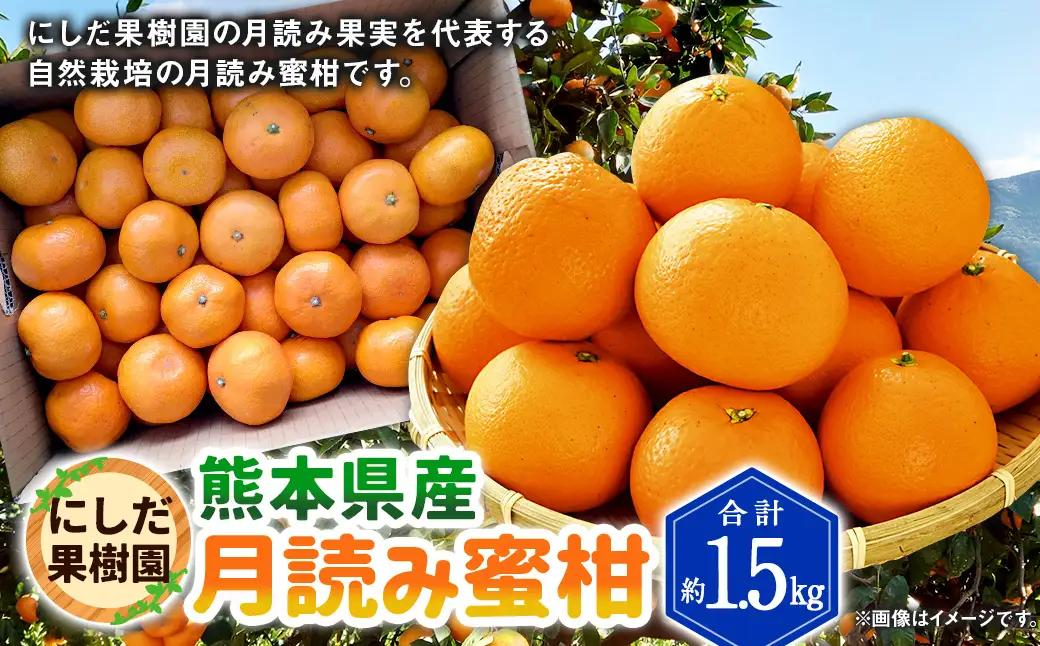 【2026年11月下旬発送開始】にしだ果樹園の熊本県産月読み蜜柑 約1.5kg