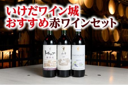 十勝ワイン いけだワイン城おすすめ赤ワインセット3本 赤ワイン 北海道池田町